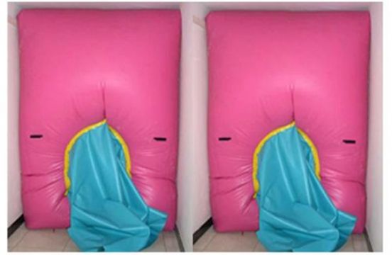 點擊查看詳細信息<br>標題：快速封堵氣囊 閱讀次數(shù)：2737