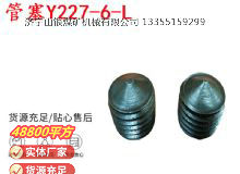 點(diǎn)擊查看詳細(xì)信息<br>標(biāo)題：英格索蘭隔膜泵配件管塞Y227-6-L 閱讀次數(shù)：356