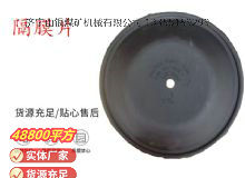 點(diǎn)擊查看詳細(xì)信息<br>標(biāo)題：氣動隔膜泵配件-隔膜片 閱讀次數(shù)：282